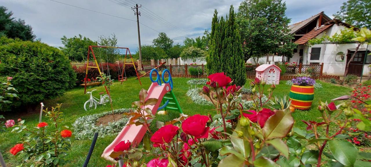 Guest House Dunavski Raj Kostol ภายนอก รูปภาพ