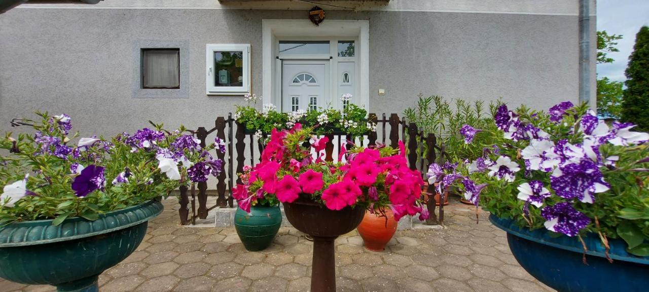 Guest House Dunavski Raj Kostol ภายนอก รูปภาพ