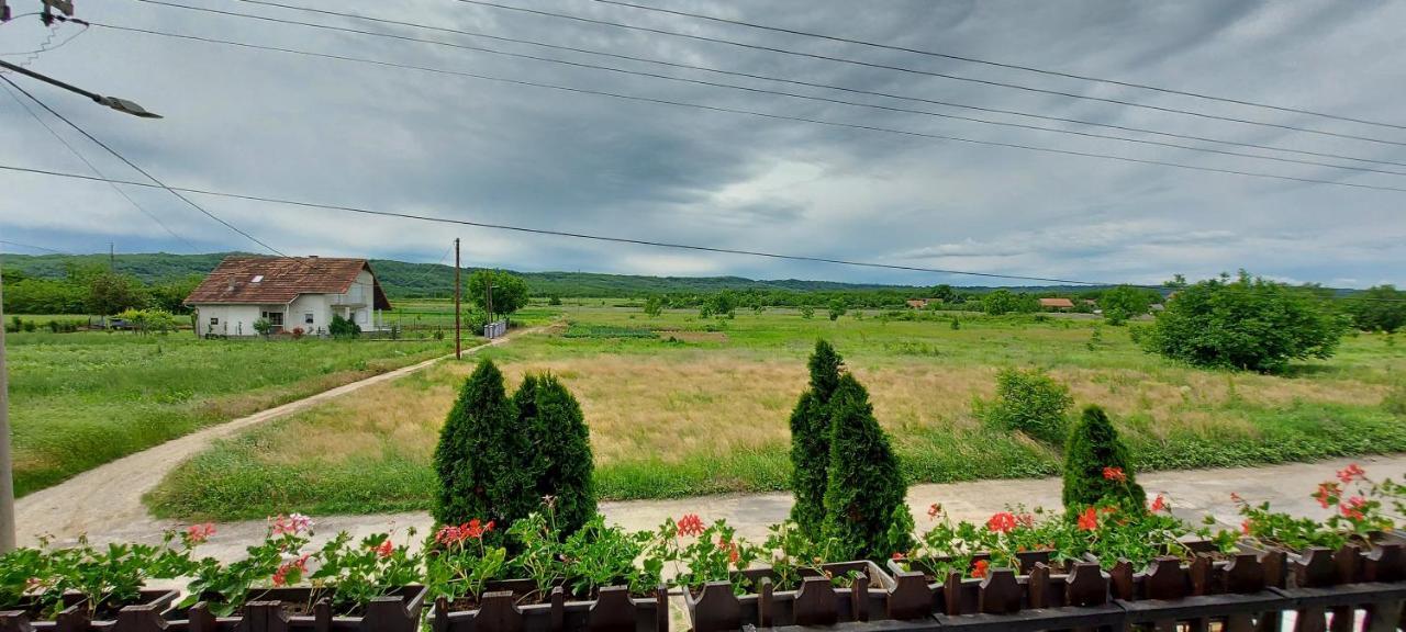 Guest House Dunavski Raj Kostol ภายนอก รูปภาพ