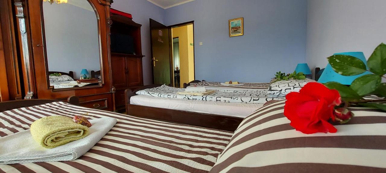 Guest House Dunavski Raj Kostol ภายนอก รูปภาพ
