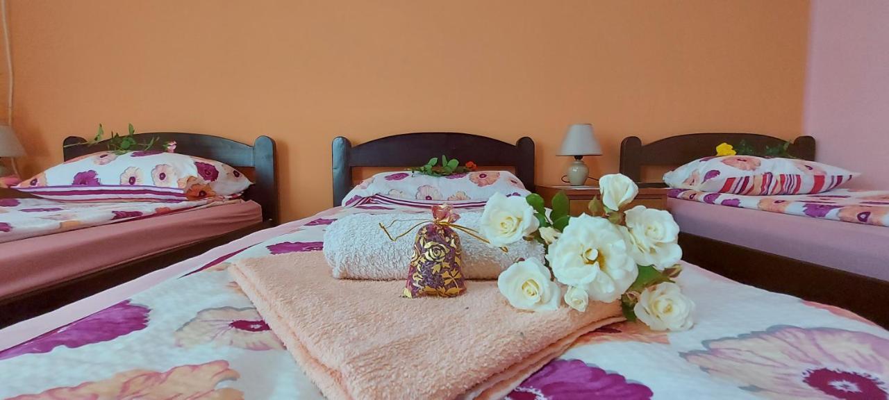 Guest House Dunavski Raj Kostol ภายนอก รูปภาพ