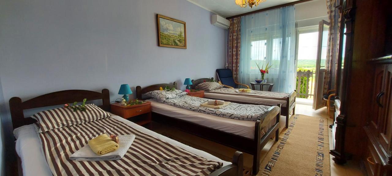 Guest House Dunavski Raj Kostol ภายนอก รูปภาพ
