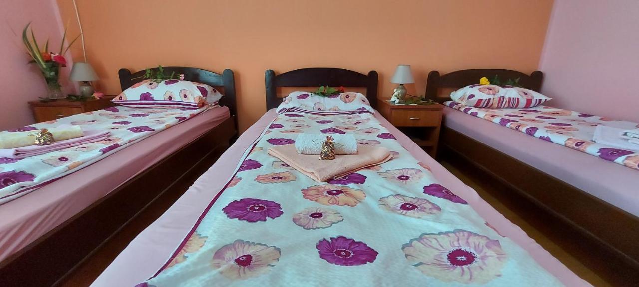 Guest House Dunavski Raj Kostol ภายนอก รูปภาพ