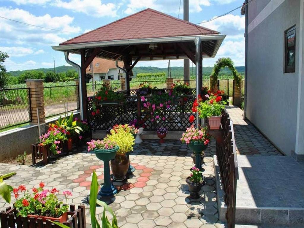 Guest House Dunavski Raj Kostol ภายนอก รูปภาพ