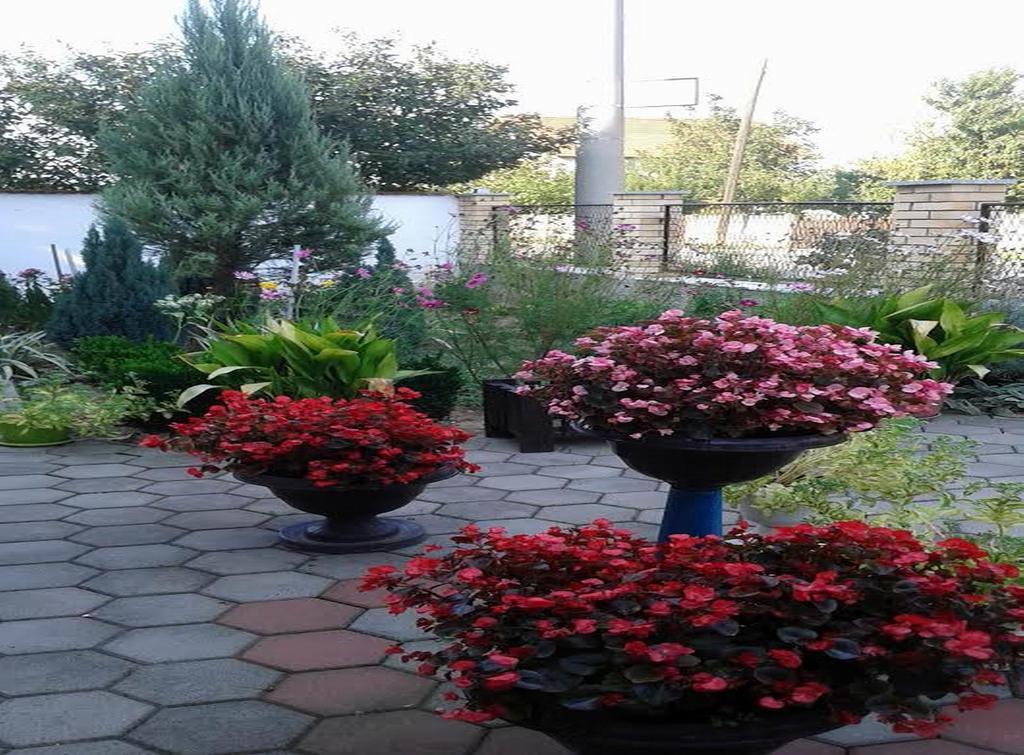 Guest House Dunavski Raj Kostol ภายนอก รูปภาพ